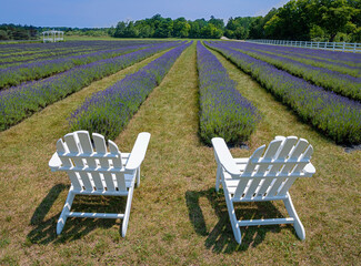 652-39 Lavender Seats