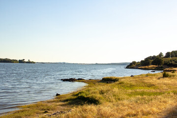 Indoor lake in summer with yellow grass.