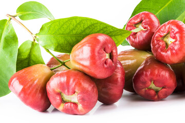 wax apples isolated on white background