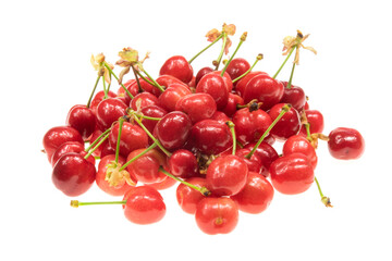Fototapeta na wymiar red cherries on a white isolated background