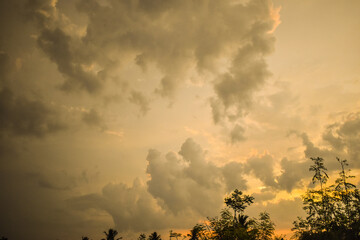 sunset in the forest