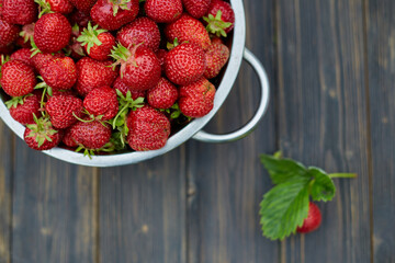 strawberry harvest