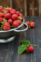 strawberry harvest