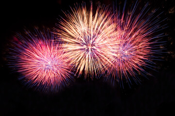 Amazing fireworks show in the dark sky