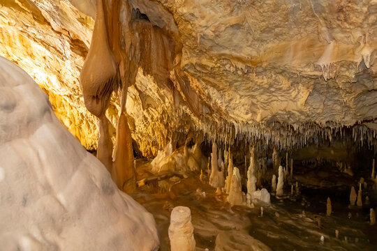 Bear's Cave, Ursus spelaeus, Pestera Ursilor, Chiscau village, Bihor County, Apuseni Mountains, Romania