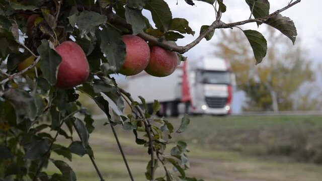 Manzanas en primer plano con cami&oacute;n pasando. Cambio de foco