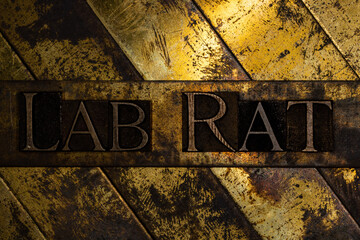 Lab Rat text on vintage textured grunge copper and gold background