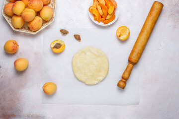 Delicious homemade galette with ripe apricots.