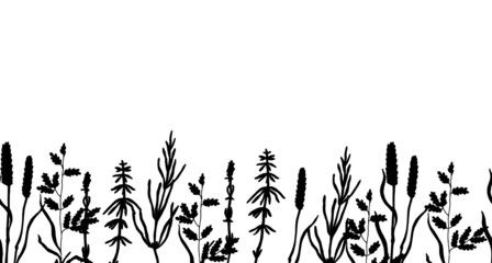  Black silhouette of grasses. Vector illustration of a medical plant. Seamless ribbon.
