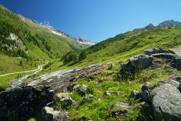 Fototapeta premium Scenic high alpine landscape with rocks, green meadows and a clear blue sky in south tyrol