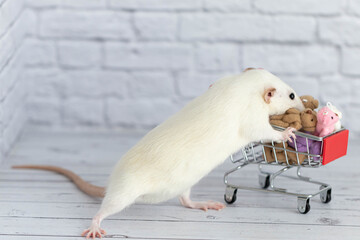 A small cute white rat next to the grocery cart is packed with multicolored Teddy bears. Shopping in the market. Buying gifts for birthdays and holidays.