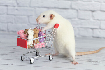 A small cute white rat next to the grocery cart is packed with multicolored Teddy bears. Shopping in the market. Buying gifts for birthdays and holidays.