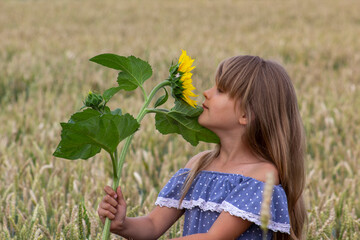 Little girl on a wheat field with a sunflower flower.