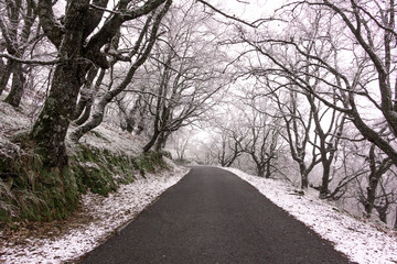Winter landscape. Road surrounded by forest with snow. Mountain. Snowy road. Selective focus.