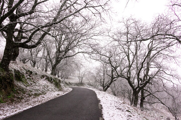 Obraz premium Winter landscape. Road surrounded by forest with snow. Mountain. Snowy road. Selective focus.