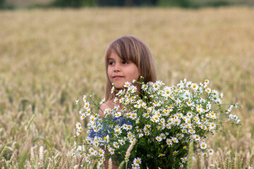 Little girl on a wheat field with chamomile flowers.