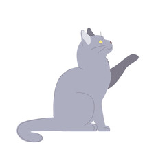the cat is sitting with his paw raised. the cat gives its paw. gray fluffy pet. Russian blue kitten. stock vector illustration isolated on white background.