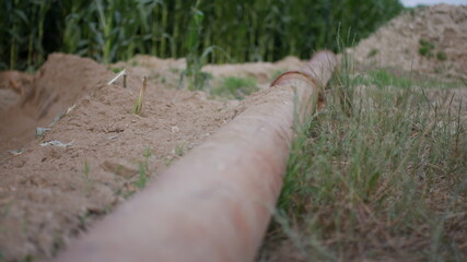 Water pipes in a dry corn field.