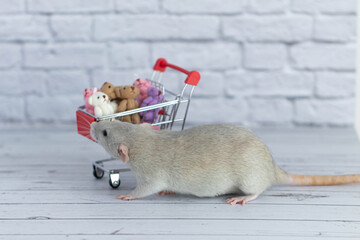 A small cute grey rat next to the grocery cart is packed with multicolored Teddy bears. Shopping in the market. Buying gifts for birthdays and holidays.