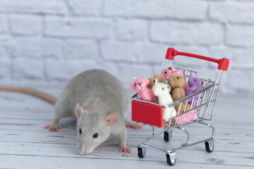 A small cute grey rat next to the grocery cart is packed with multicolored Teddy bears. Shopping in the market. Buying gifts for birthdays and holidays.