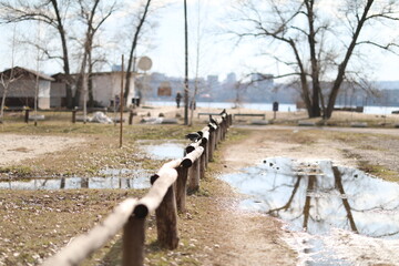large puddles on the beach after rain in bad weather