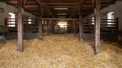 Interior of stable in horse breeding in Florianka, Zwierzyniec, Roztocze, Poland. Clean hay lying...