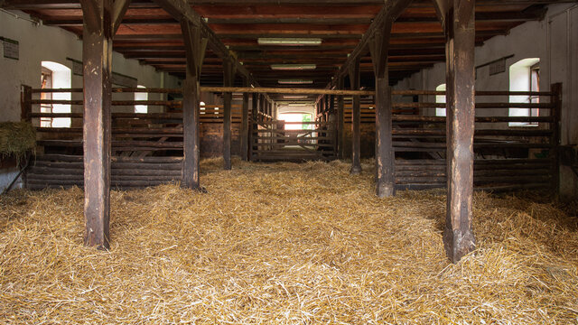 Interior of stable in horse breeding in Florianka, Zwierzyniec, Roztocze, Poland. Clean hay lying down on the floor