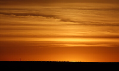 Golden Sunset
