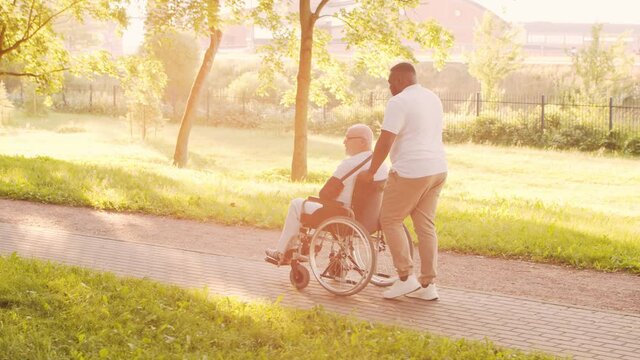 African-American caregiver and old disabled man in a wheelchair. Professional nurse and handicapped patient in the park. Assistance, rehabilitation and health care. Golden hour sunset.