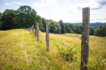Fototapeta premium Barbed Wire Fence along a pasture on the Blue Ridge Parkway.