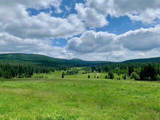 &Scaron;umava landscape in the middle of summer