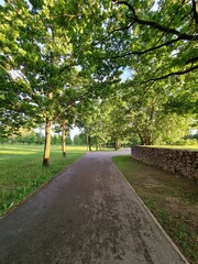 alley in the park