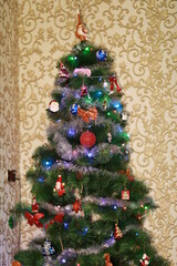 Christmas elegant tree stands under the window