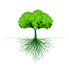 Obraz premium Green Tree. Vector Illustration. Leaf and Roots.
