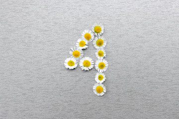 Number 4 of the daisy flower on a gray background