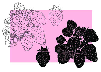 Strawberries on a branch with leaves on a color background. Vector.	