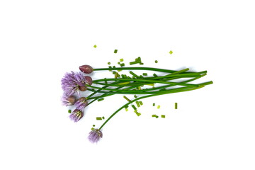 Fototapeta premium Fresh green blooming chives with purple flowers, chopped on white background