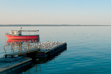 Pier with a bunch of seagulls on the background of a red fishing boat.