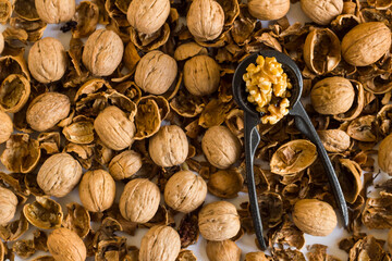 Walnut background with walnut cracker and shells,top view