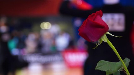 Defocused people dance ballroom dances