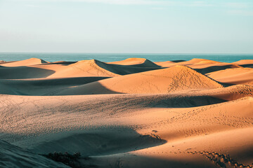 Fototapeta na wymiar Sand dunes and sea. Gran Canaria