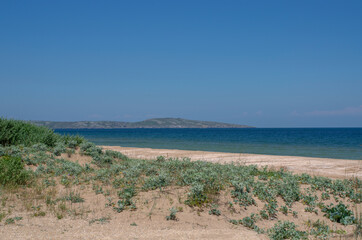 Sea, hill and sandy beach, wildlife. Summer landscape.