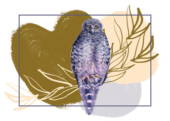 Australian bird. Isolated on a white background.