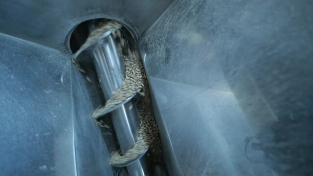 Modern craft brewery. Malt for beer production. Craft beer brewing. Modern equipment at the brewery.