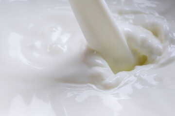 グラスに牛乳を注ぐ