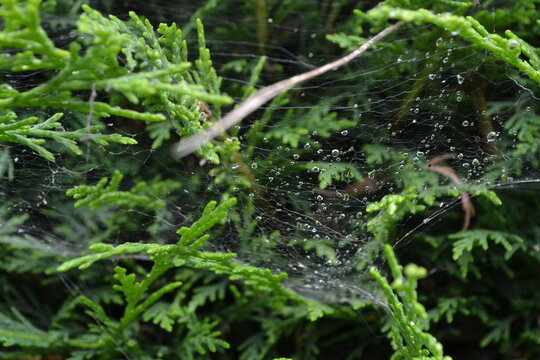 Bilder Durchsuchen 647 Archivfotos, und