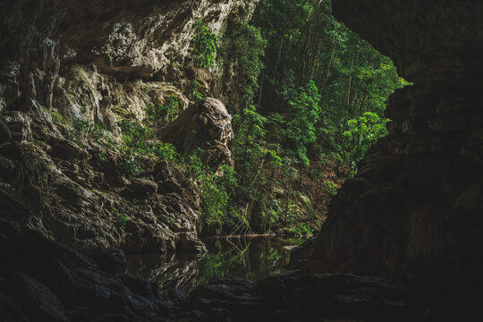 Green Cave In Belize 