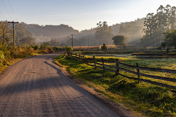 Dirty road and farm fields