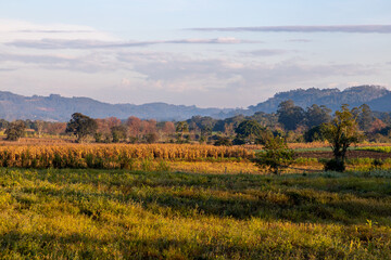 Obraz premium Farm field at sunrise