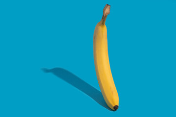Standing banana on a blue background. Front side shot. Creative fruit concept